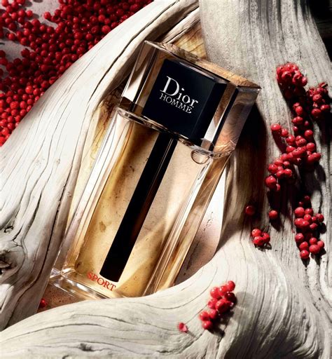 dior homme vs dior homme sport|dior homme sport frankincense.